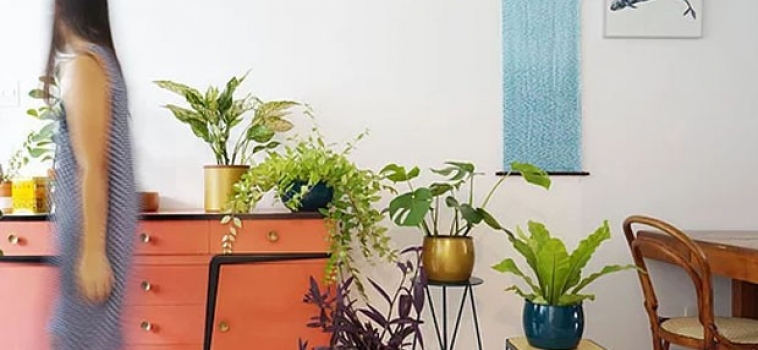 5 dicas de como usar plantas na decoração de móveis